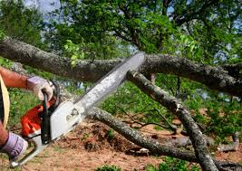 Best Lawn Mowing  in Waynesboro, MS