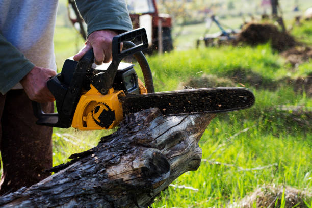 Best Commercial Tree Services  in Waynesboro, MS